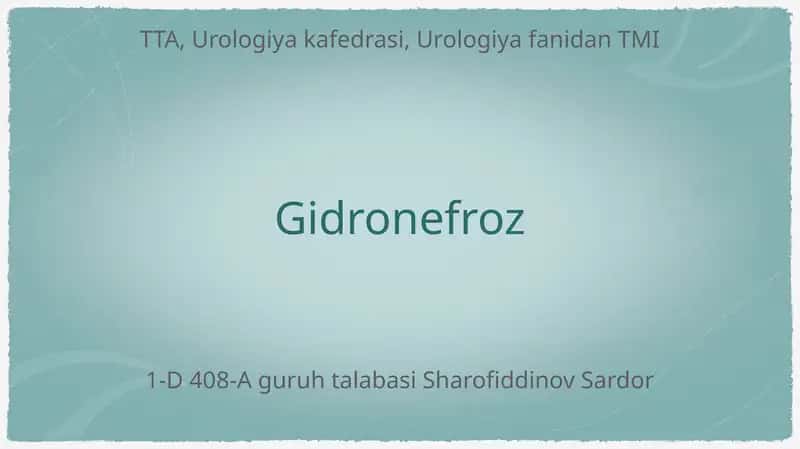 Gidronefroz 1