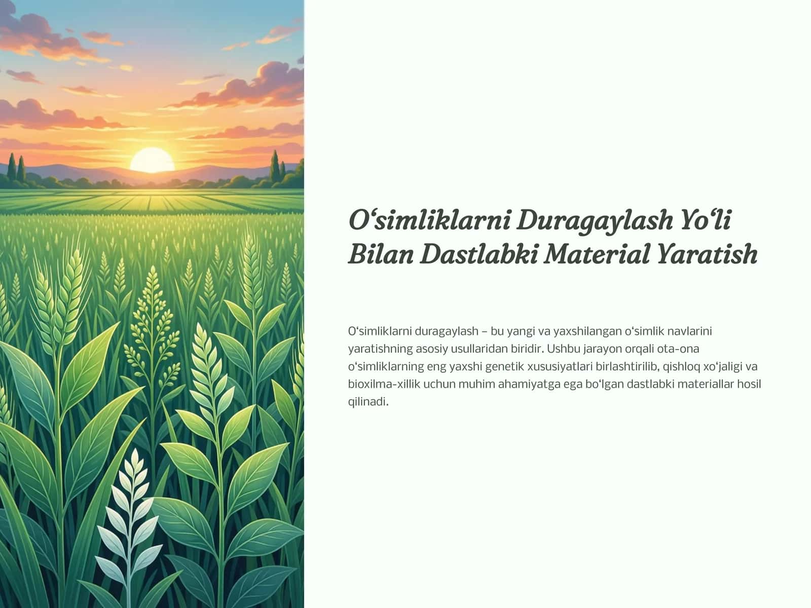 O‘simliklarni Duragaylash Yo‘li Bilan Dastlabki Material Yaratish 1