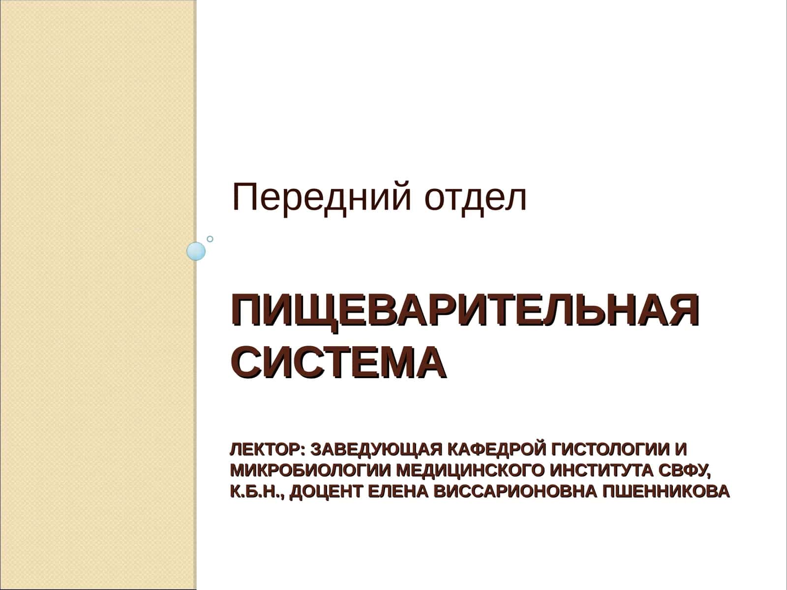 ПИЩЕВАРИТЕЛЬНАЯ СИСТЕМА 1