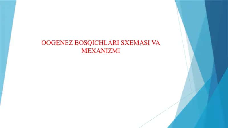 OOGENEZ BOSQICHLARI SXEMASI VA MEXANIZMI 1