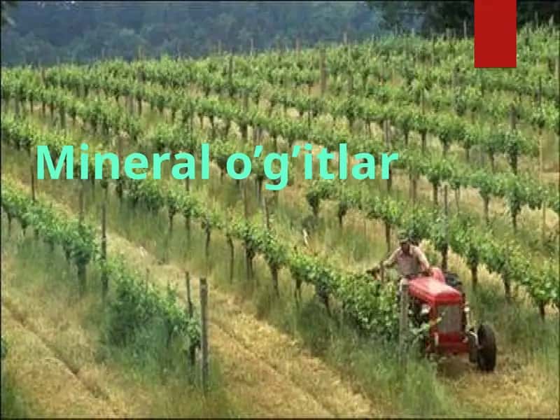 Mineral o’g’itlar 1