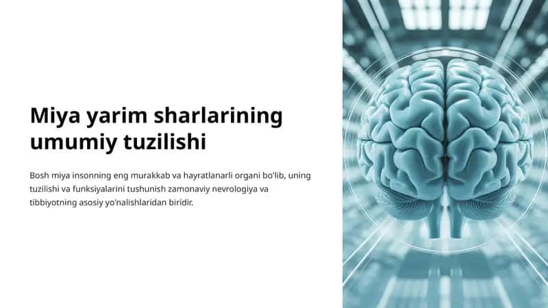 Miya yarim sharlarining tuzilishi 1
