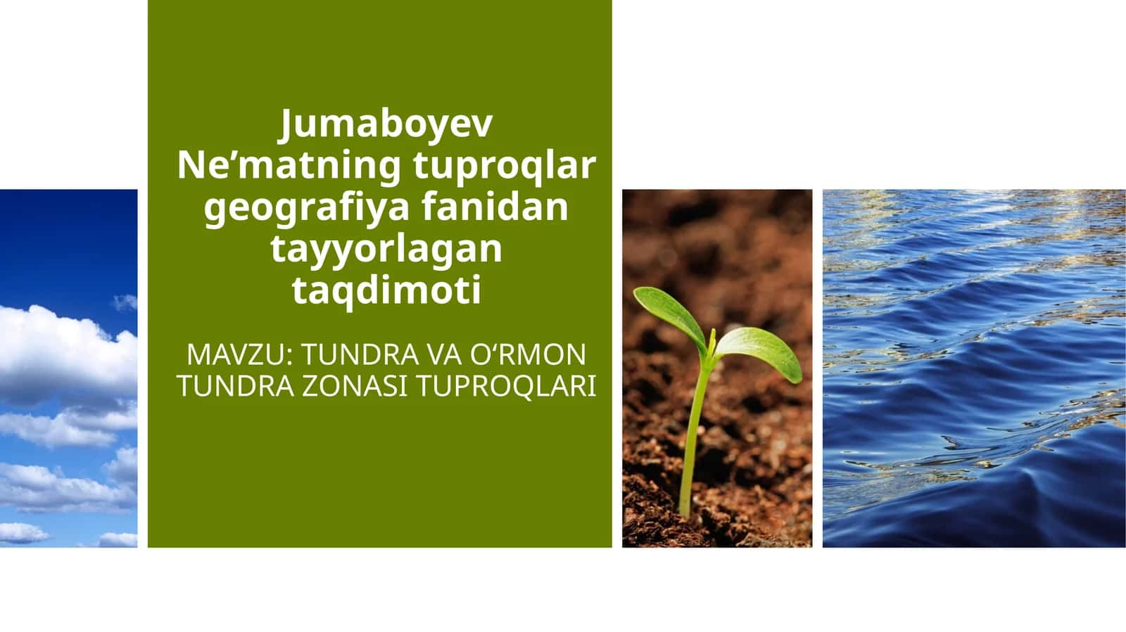 TUNDRA VA OʻRMONTUNDRA ZONASI TUPROQLARI 1