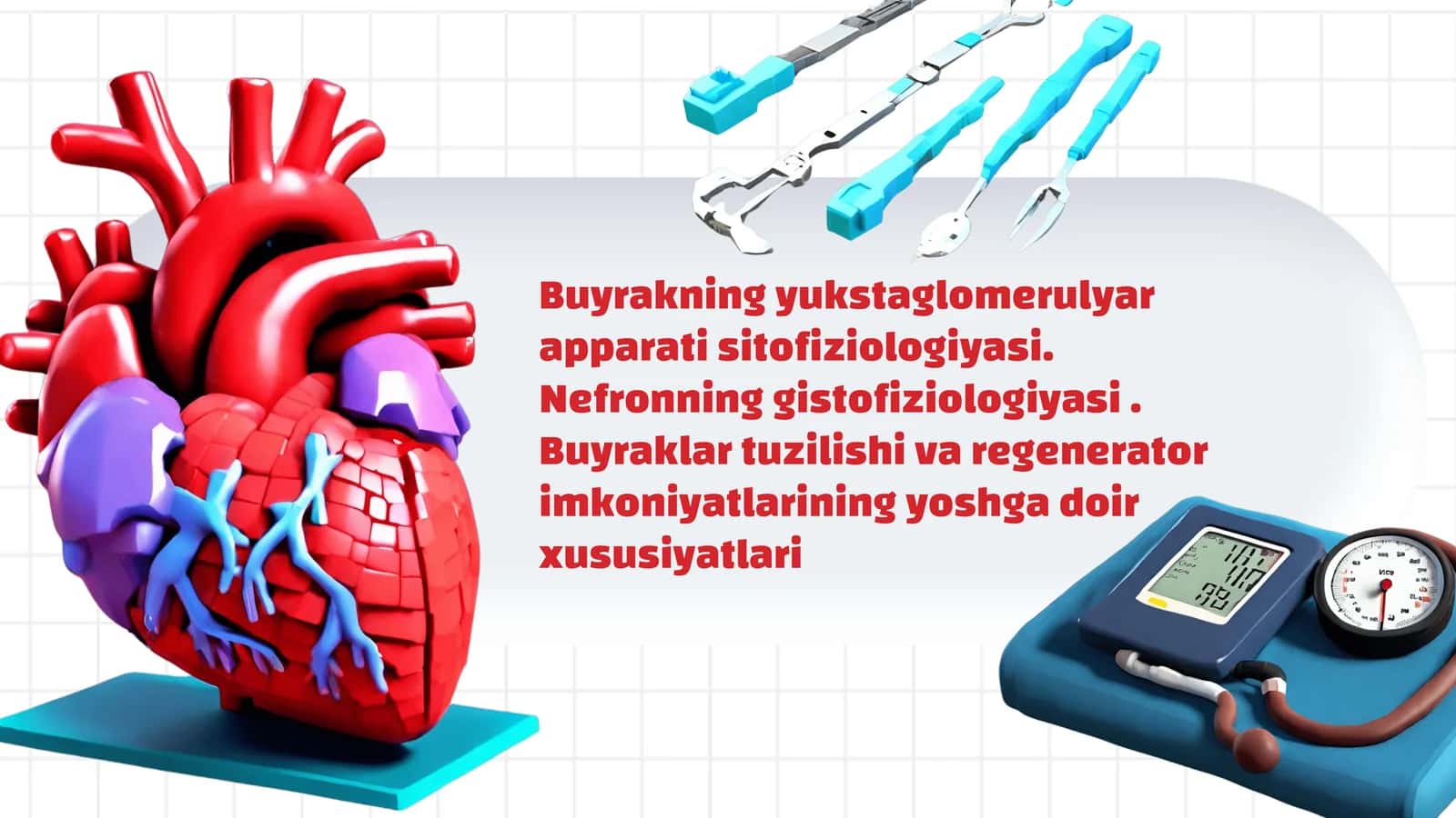 Buyrakning yukstaglomerulyar apparati sitofiziologiyasi. Nefronning gistofiziologiyasi . Buyraklar tuzilishi va regenerator imkoniyatlarining yoshga doir xususiyatlari 1