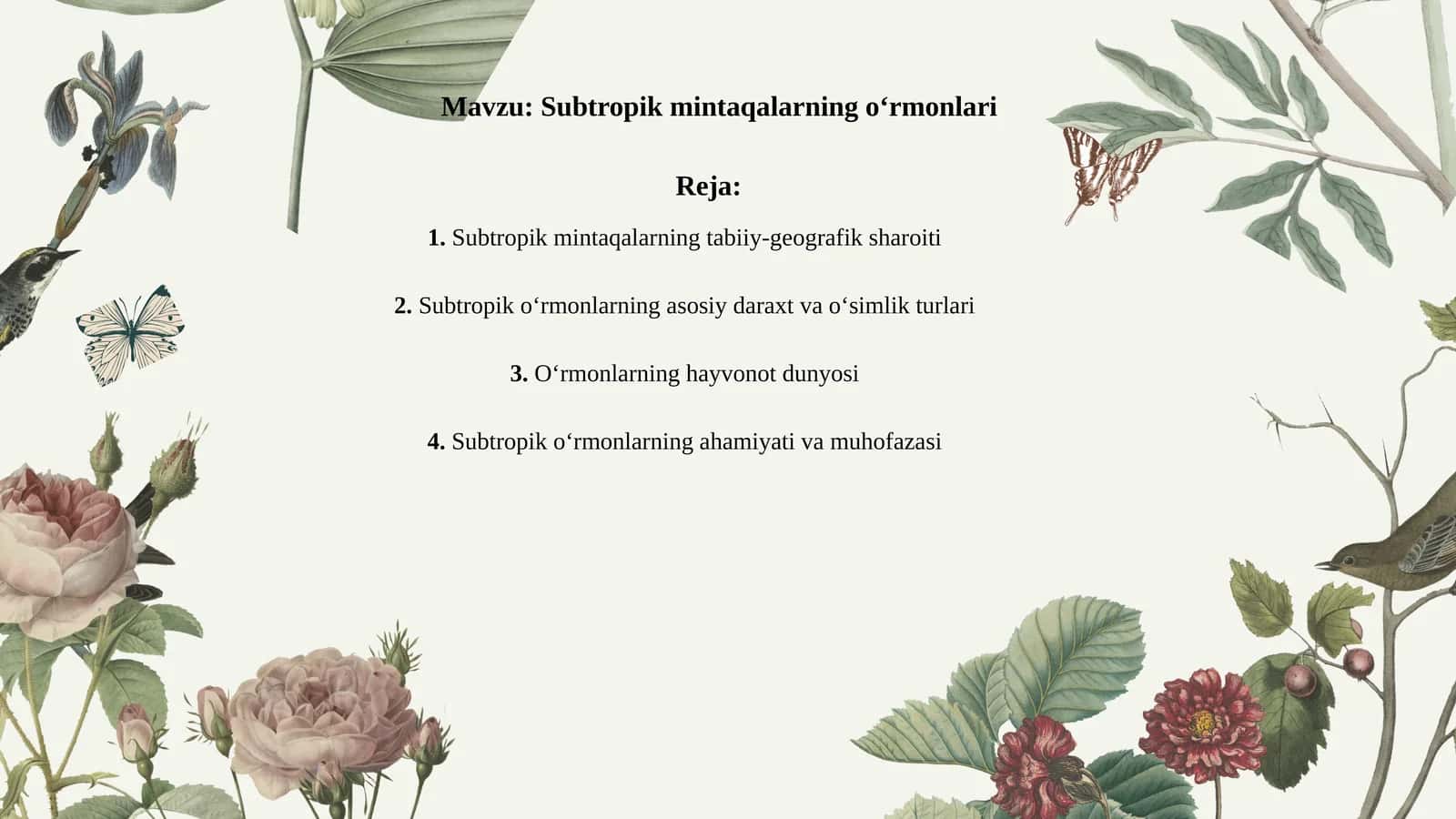Subtropik mintaqalarning o‘rmonlari 1