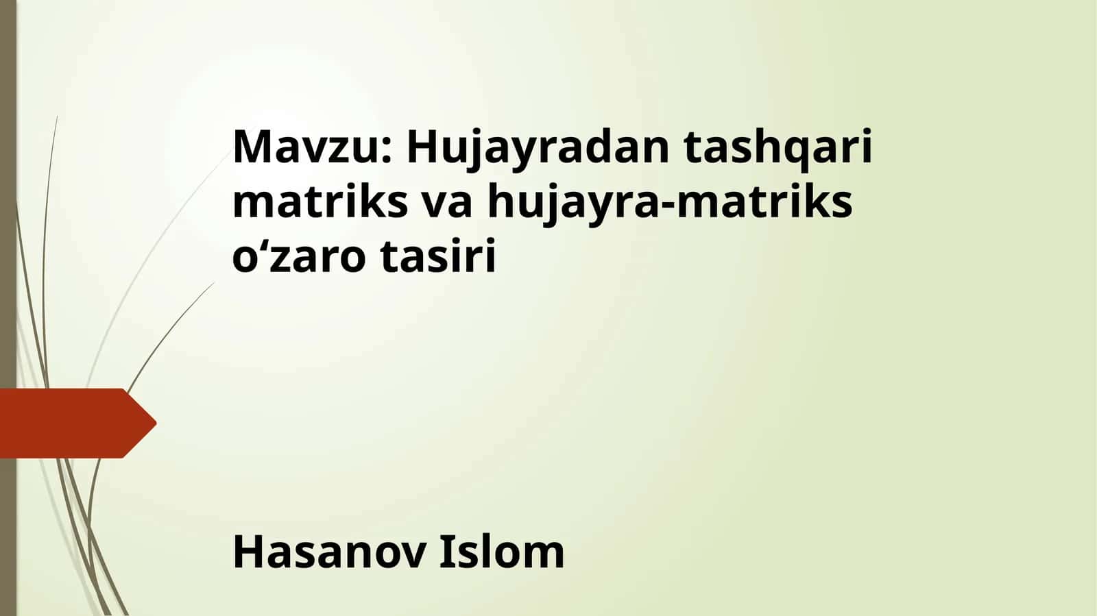 Hujayradan tashqari matriks va hujayra-matriks oʻzaro tasiri 1