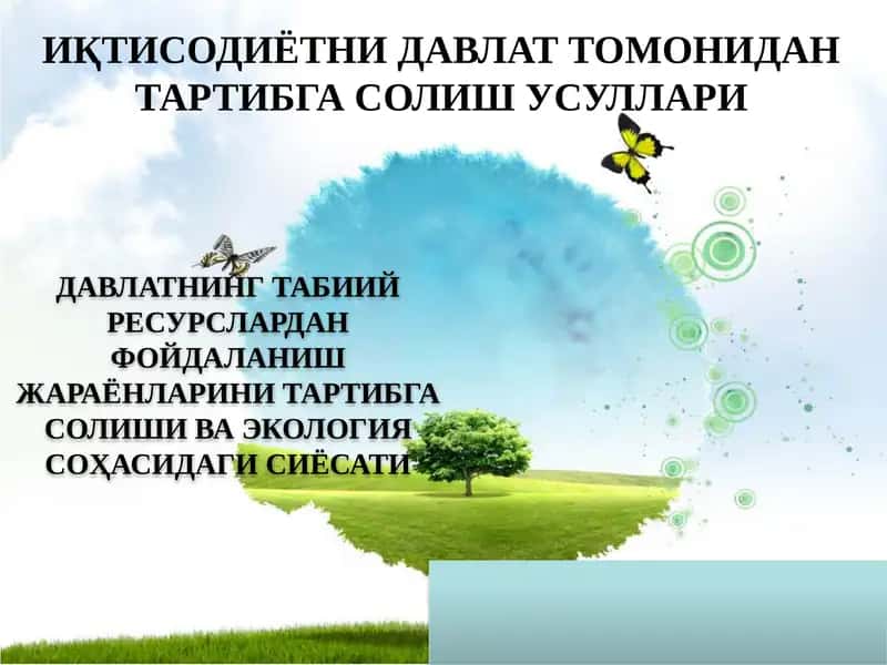 Davlatning tabiiy rеsurslardan foydalanish jarayonlarini tartibga solishi va ekologiya sohasidagi siyosati 1