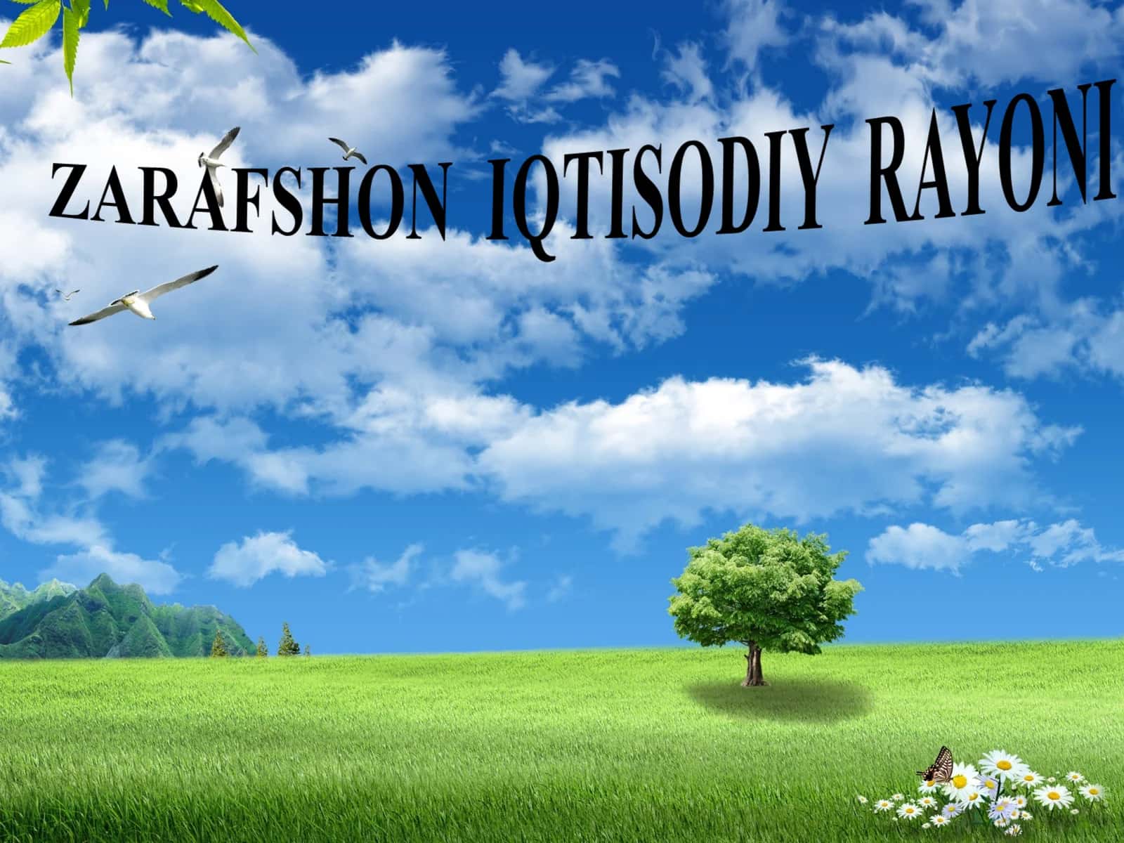 ZARAFSHON  IQTISODIY  RAYONI 1