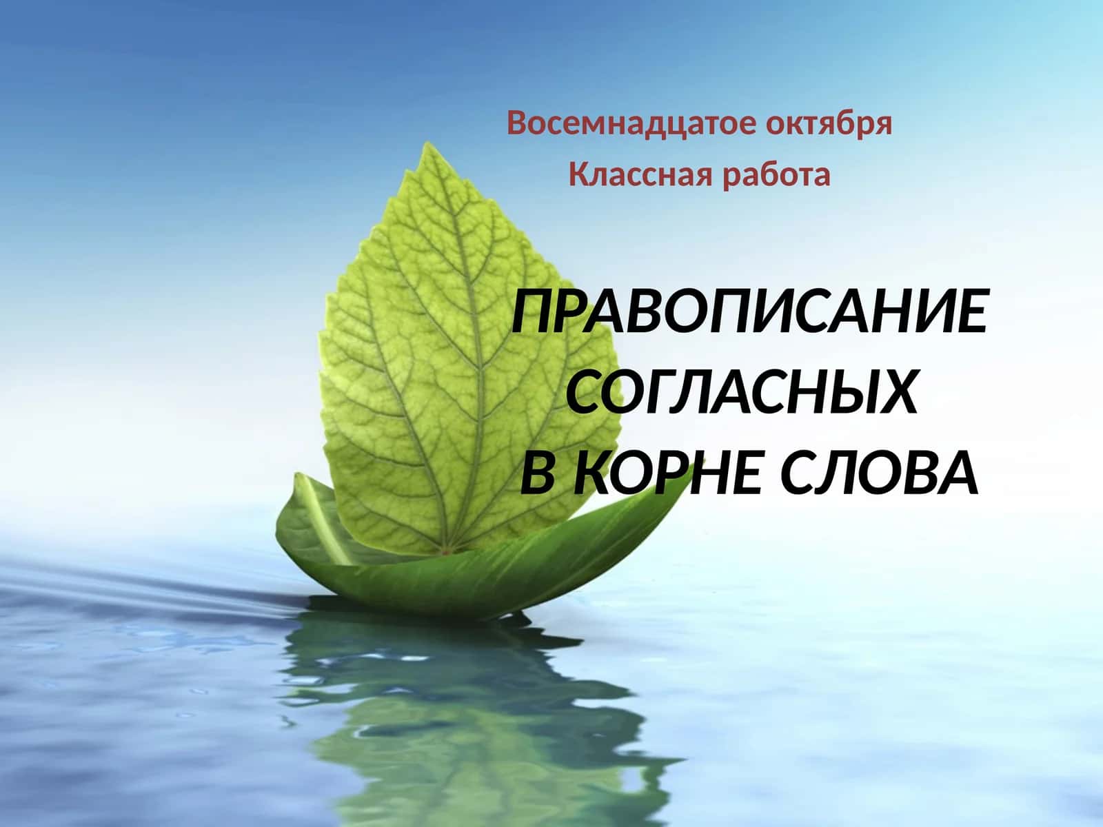 Правописание согласныхвкорне слова 1