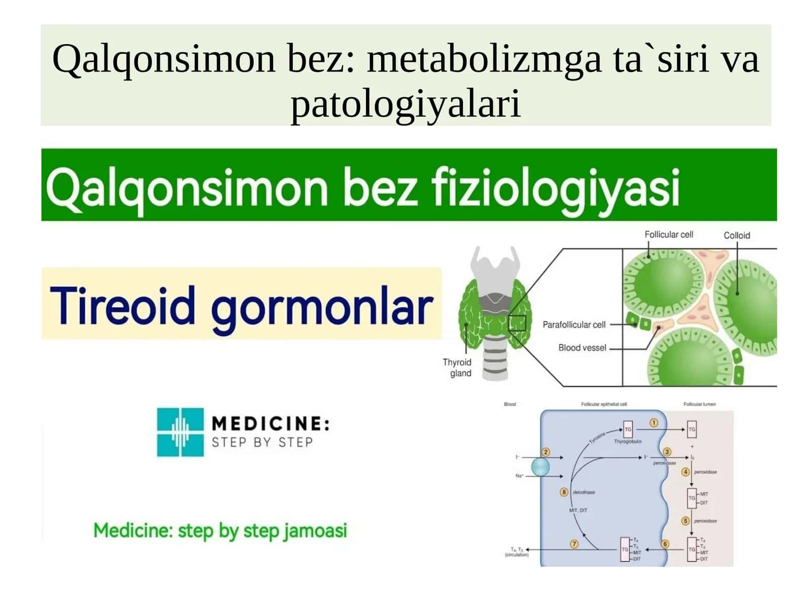 Qalqonsimonbez:metabolizmgata`sirivapatologiyalari 1
