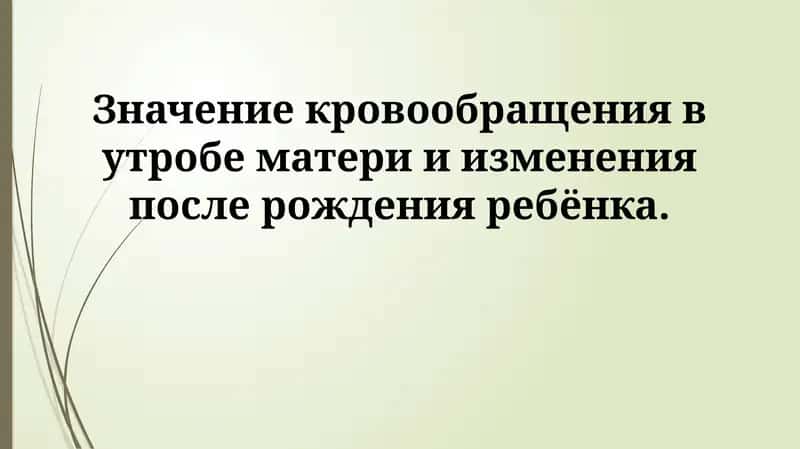 Кровообращение в утробе матери и изменения после рождения 1