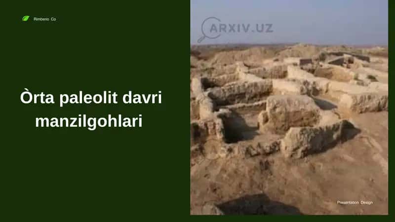 Òrta paleolit davri manzilgohlari 1