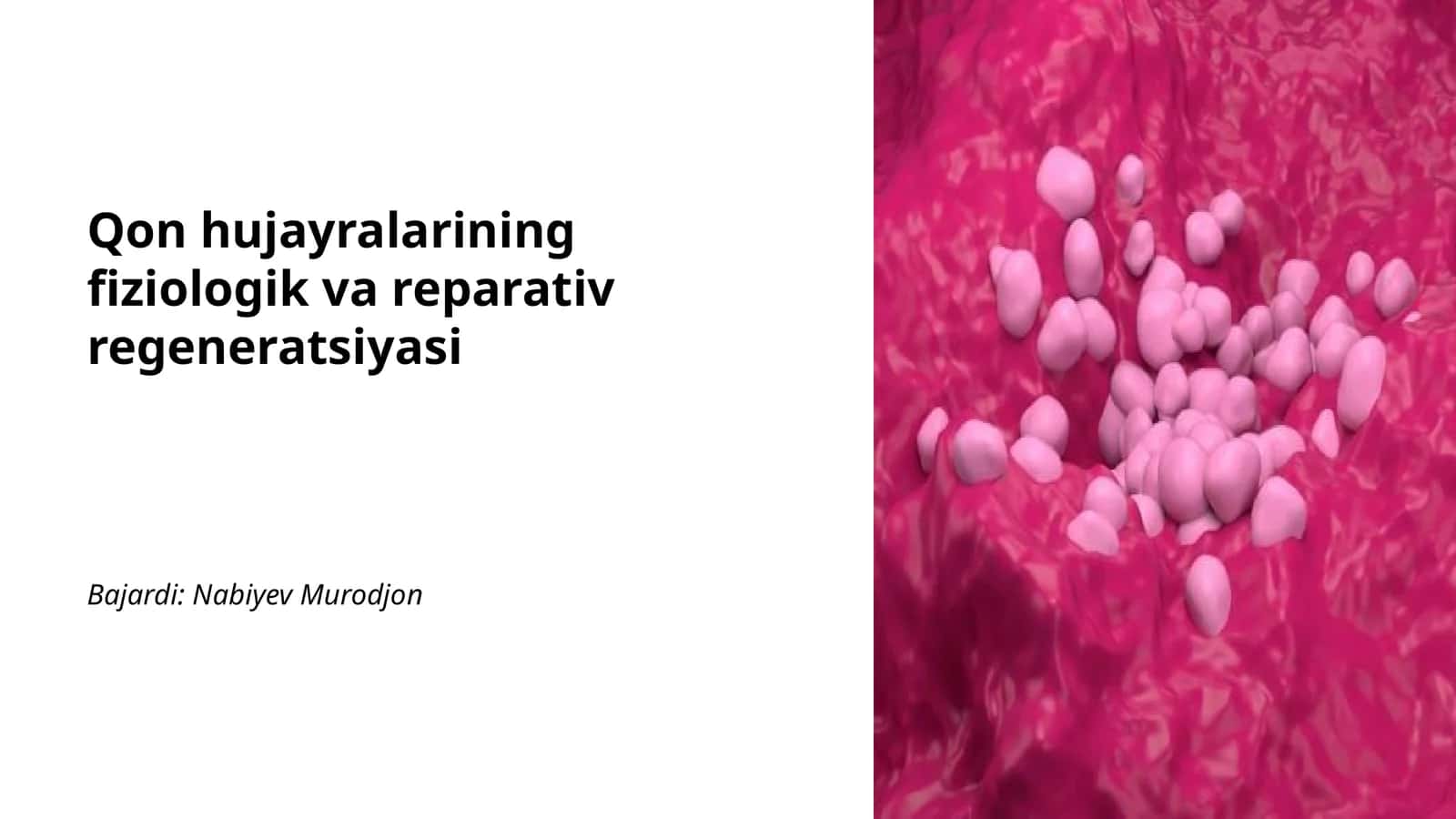 Qon hujayralarining fiziologik va reparativ regeneratsiyasi 1