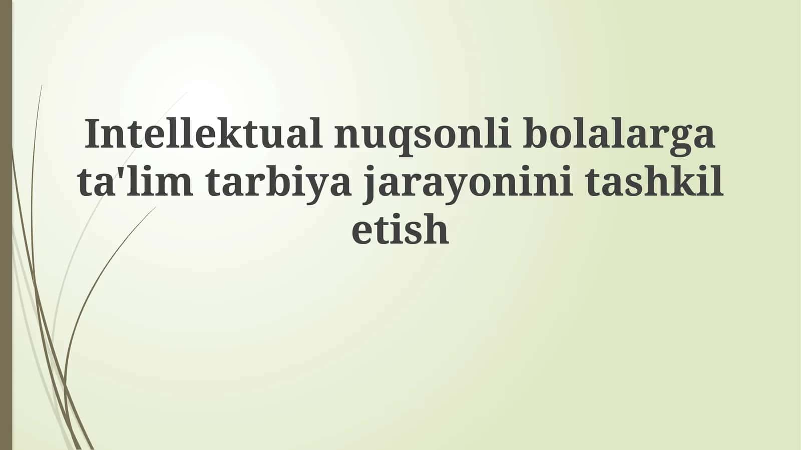 Intellektual nuqsoni bo'lgan bolalar uchun ta'limni tashkil etishning asosiy tamoyillari 1