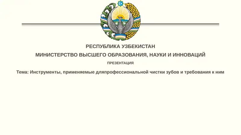 Профессиональная чистка зубов 1