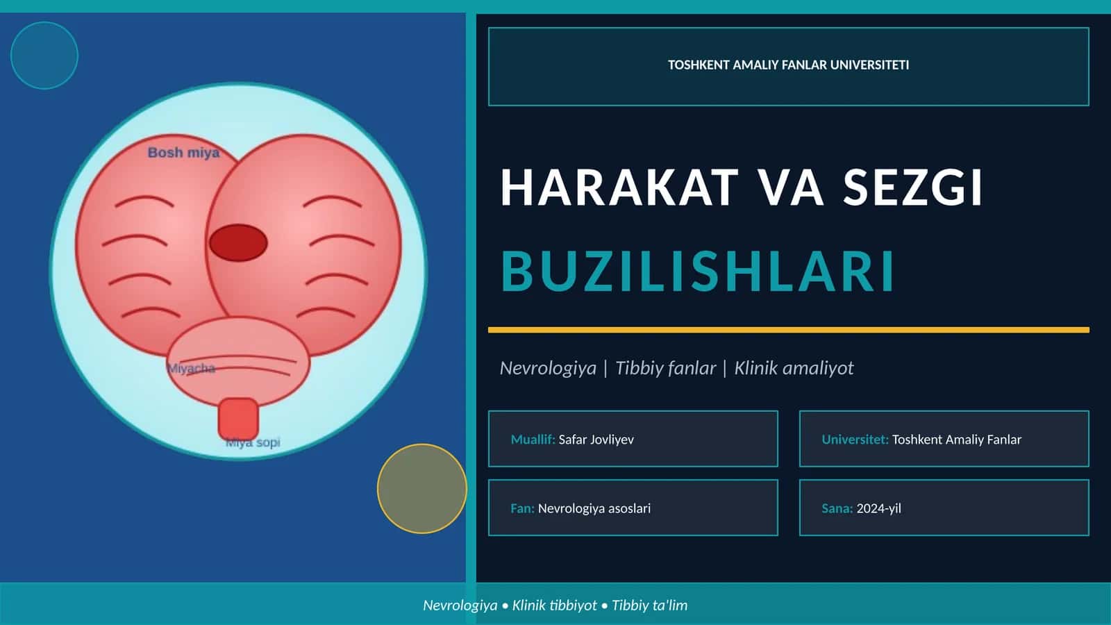 Harakat va Sezgi buzilishlari New 1
