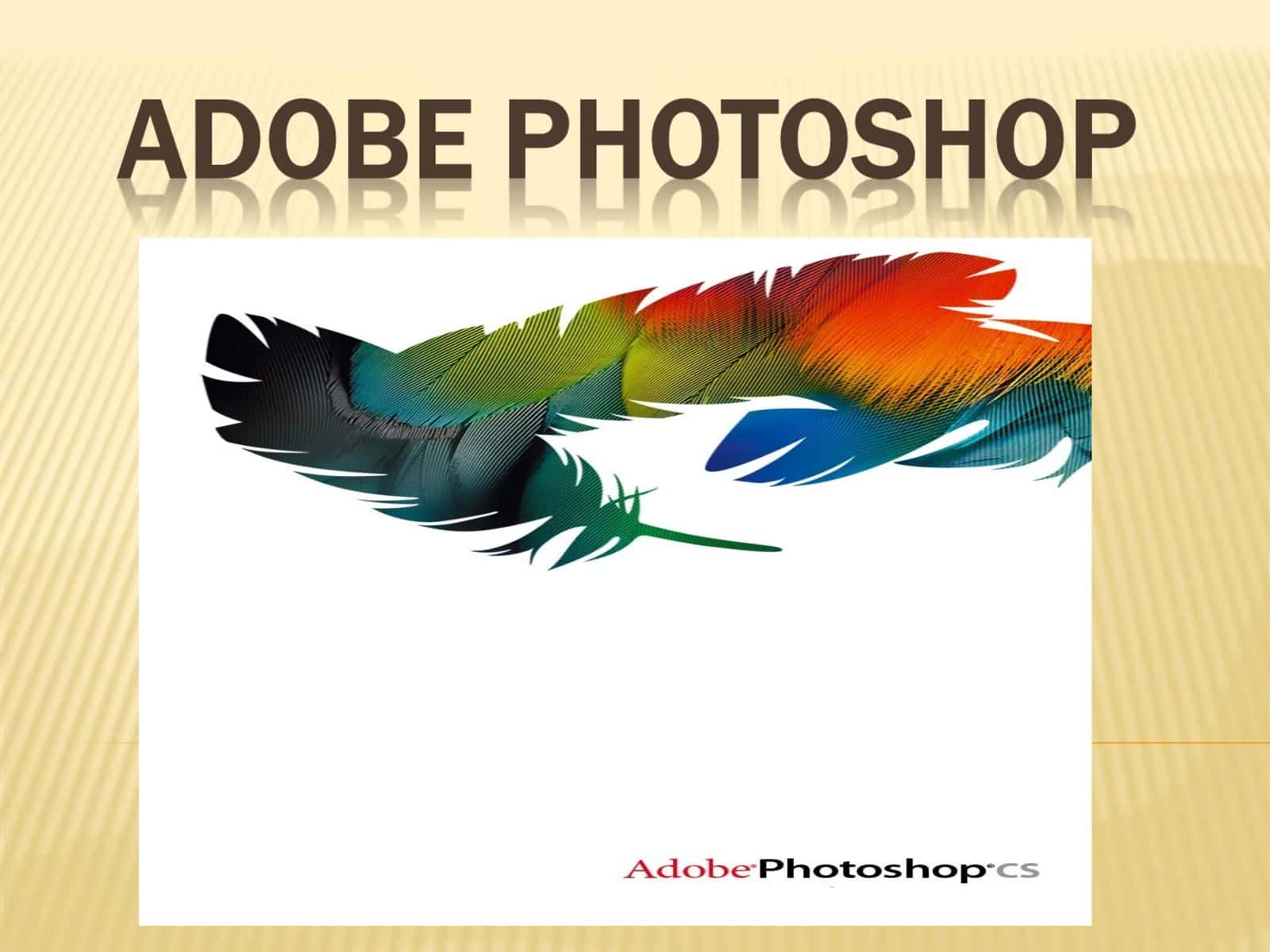 Adobe Photoshop 1