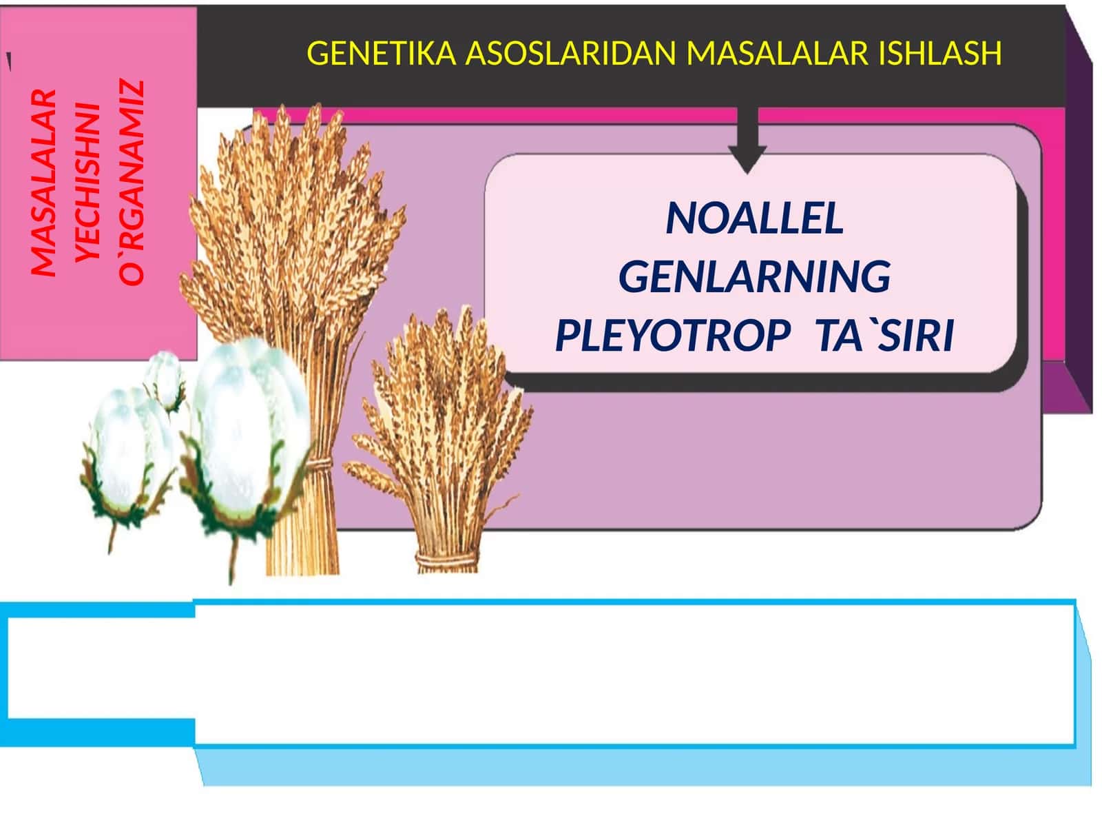 GENETIKA ASOSLARIDAN MASALALAR ISHLASH 1
