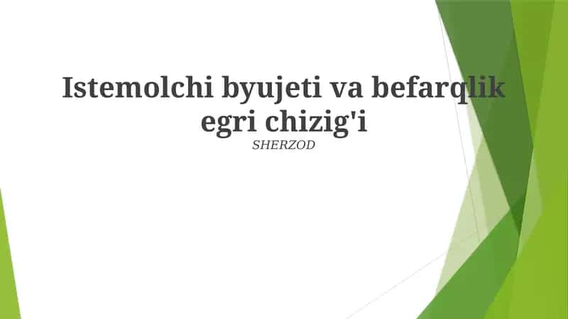 Istemolchi byujeti va befarqlik egri chizig'i 1