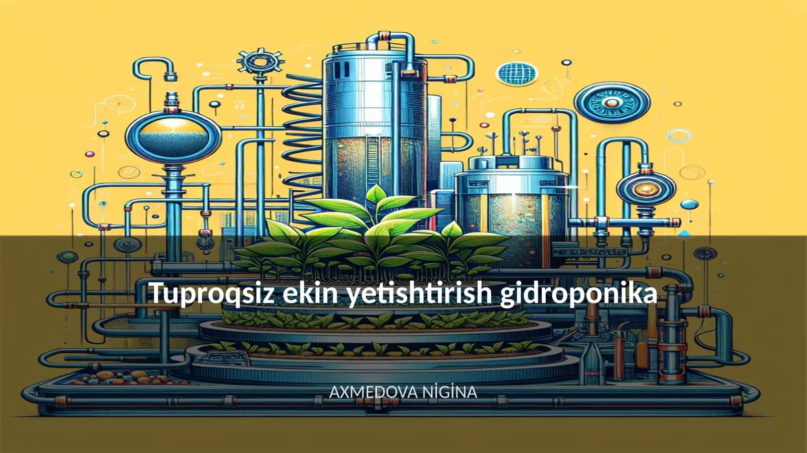 Tuproqsiz ekin yetishtirish gidroponika 1