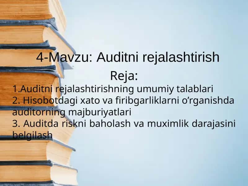 Auditni rejalashtirish 1
