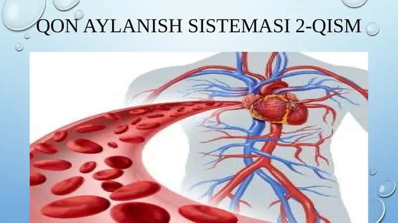 qonaylanishsistemasi2-qism 1