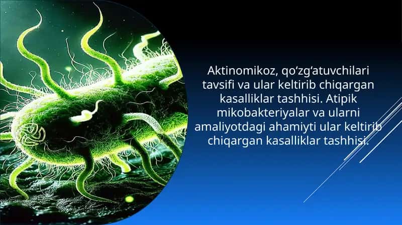 Aktinomikoz, qo‘zg‘atuvchilari tavsifi va ular keltirib chiqargan kasalliklar tashhisi. 1