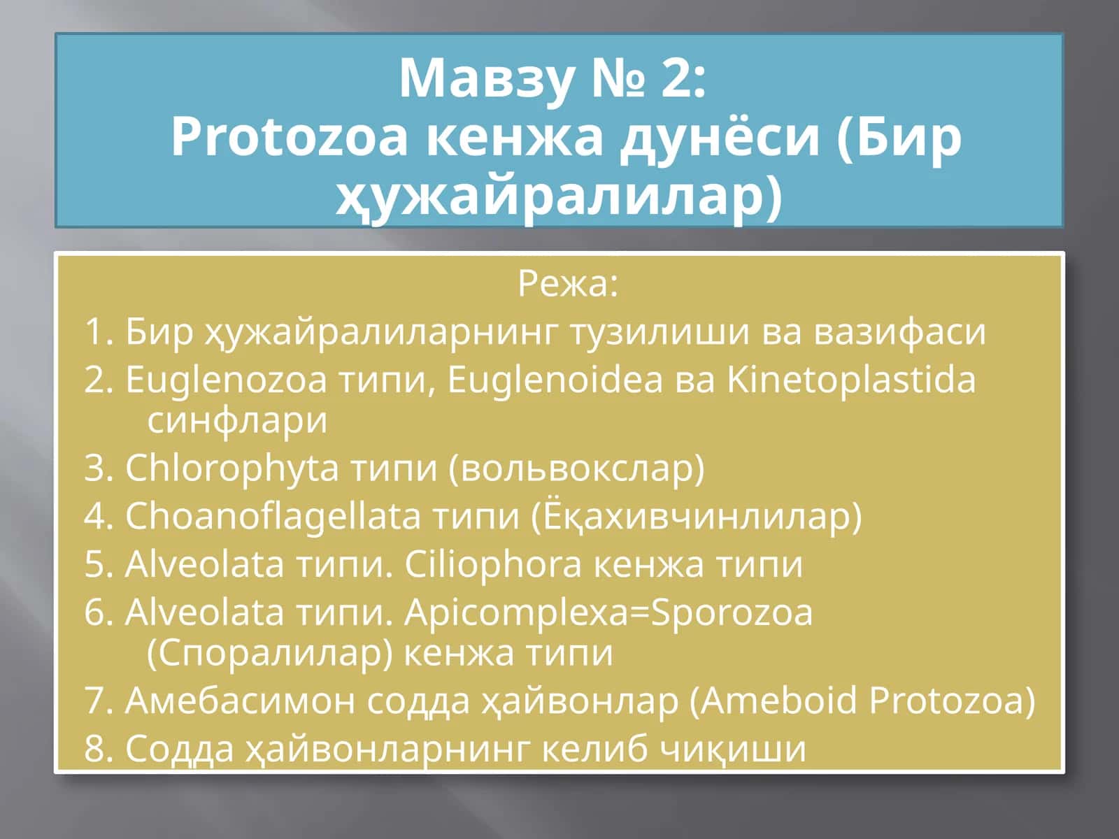 Protozoa кенжа дунёси (Бир ҳужайралилар) 1