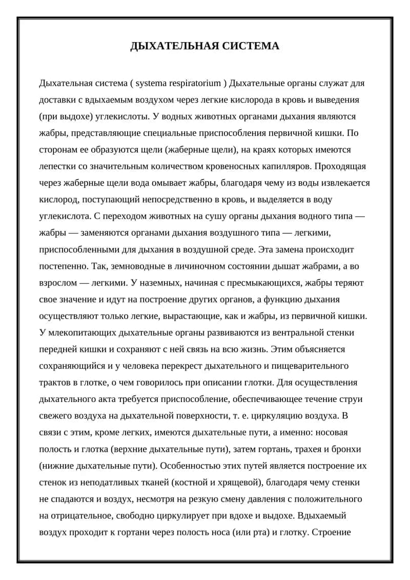 Дыхательная система 1