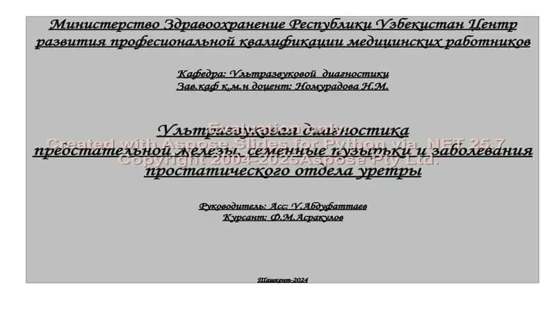 Ультразвуковая диагностика предстательной железы, семенные пузырьки и заболевания простатического отдела уретры 1