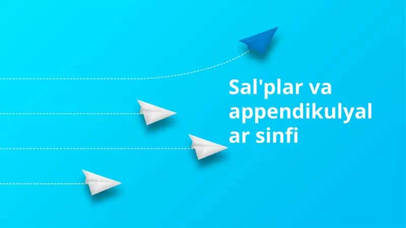 Sal'plar va appendikulyalar sinfi 1