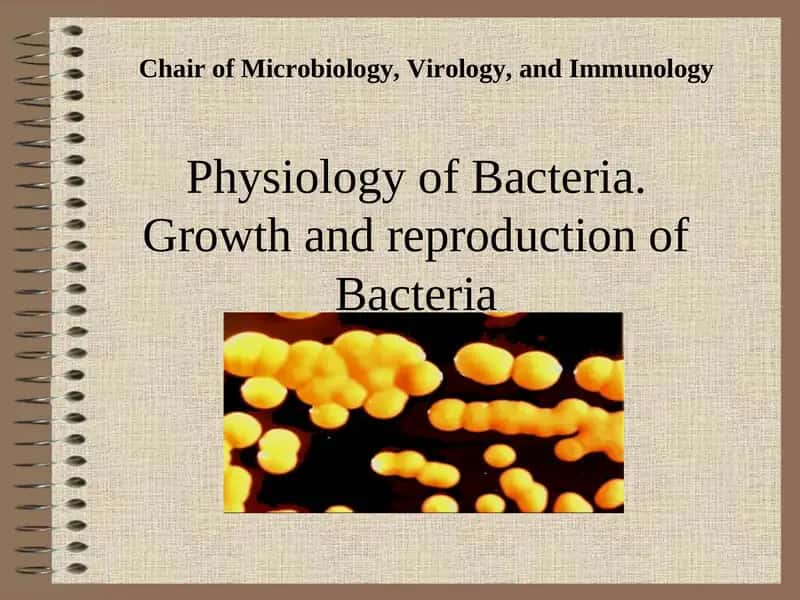Physiology of Bacteria 1