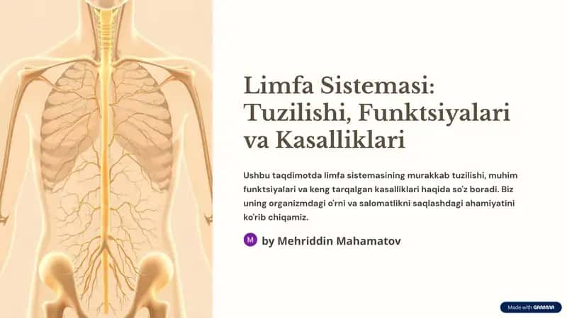 Limfa Sistemasi: Tuzilishi, Funktsiyalari va Kasalliklari 1