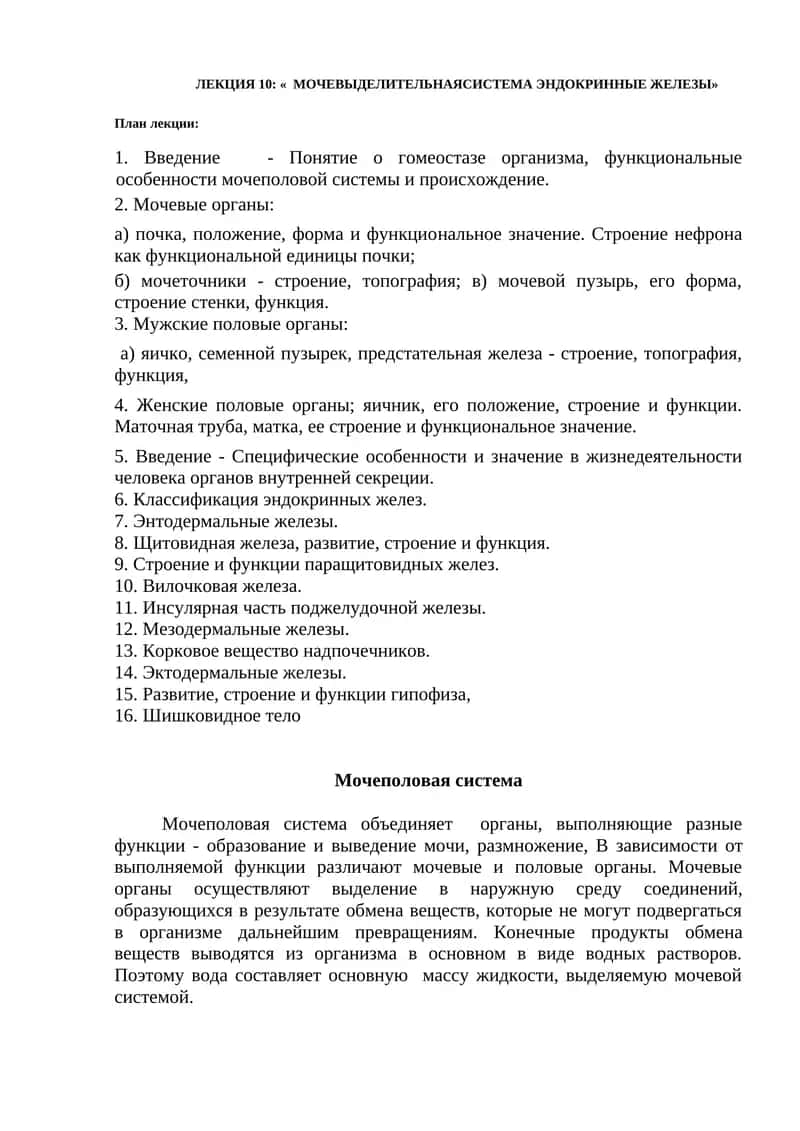 ЛЕКЦИЯ 10: « мочеВЫДЕЛИТЕЛЬНАЯСИСТЕМА эндокриннЫЕ ЖЕЛЕЗЫ» 1