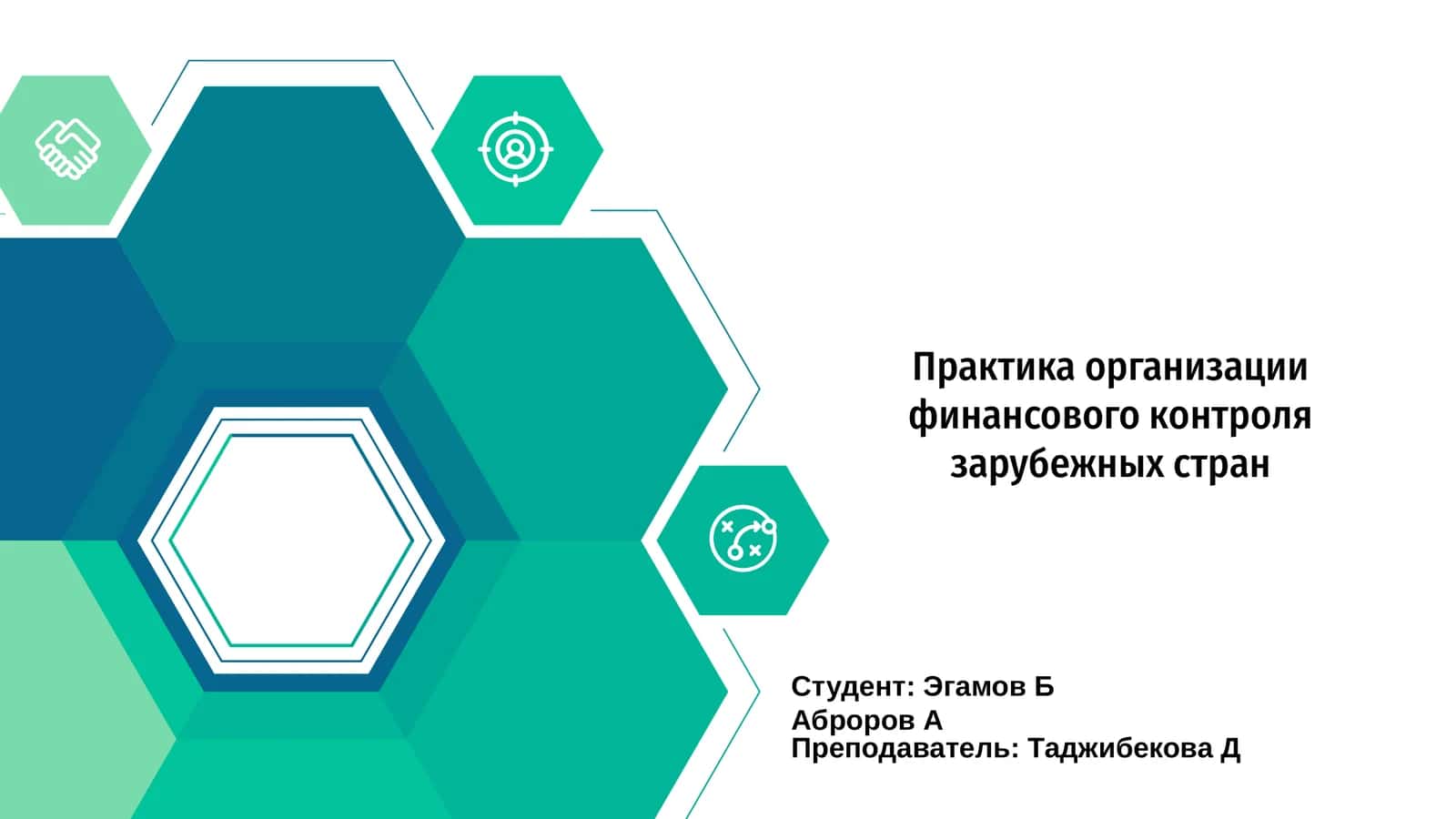 Практика организации финансового контроля зарубежных стран 1