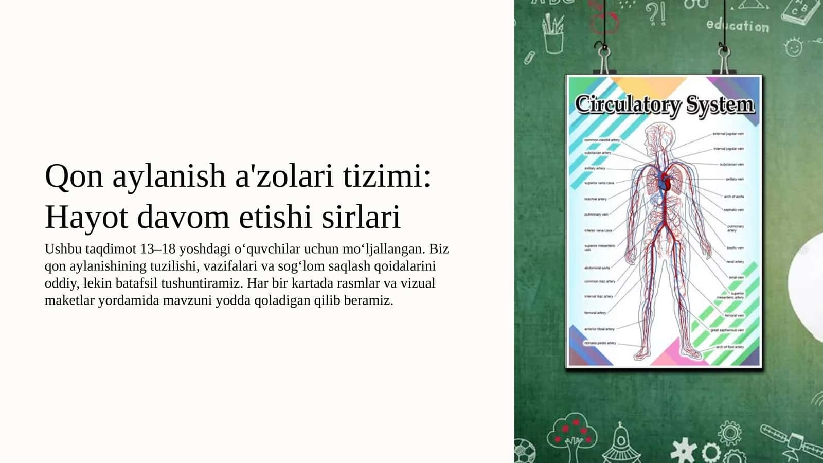 Qon aylanish azolari tizimi, Hayot davom etishi sirlari 1