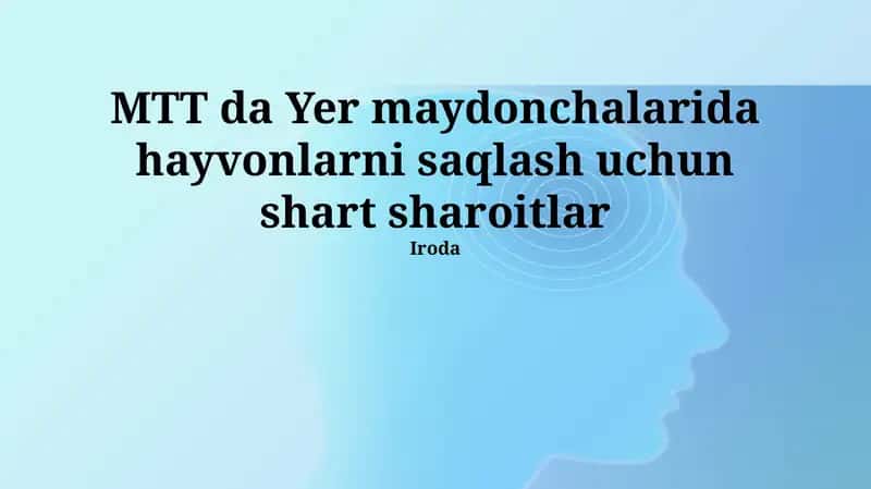 Hayvonlarni MTT Da Yer Oʻyin Maydonchalarida Saqlash Shartlari 1