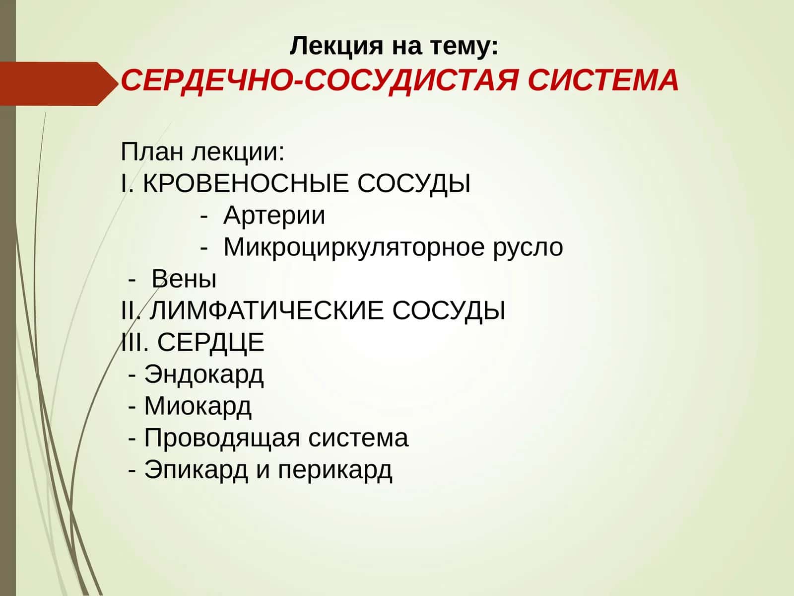 СЕРДЕЧНО-СОСУДИСТАЯ СИСТЕМА 1