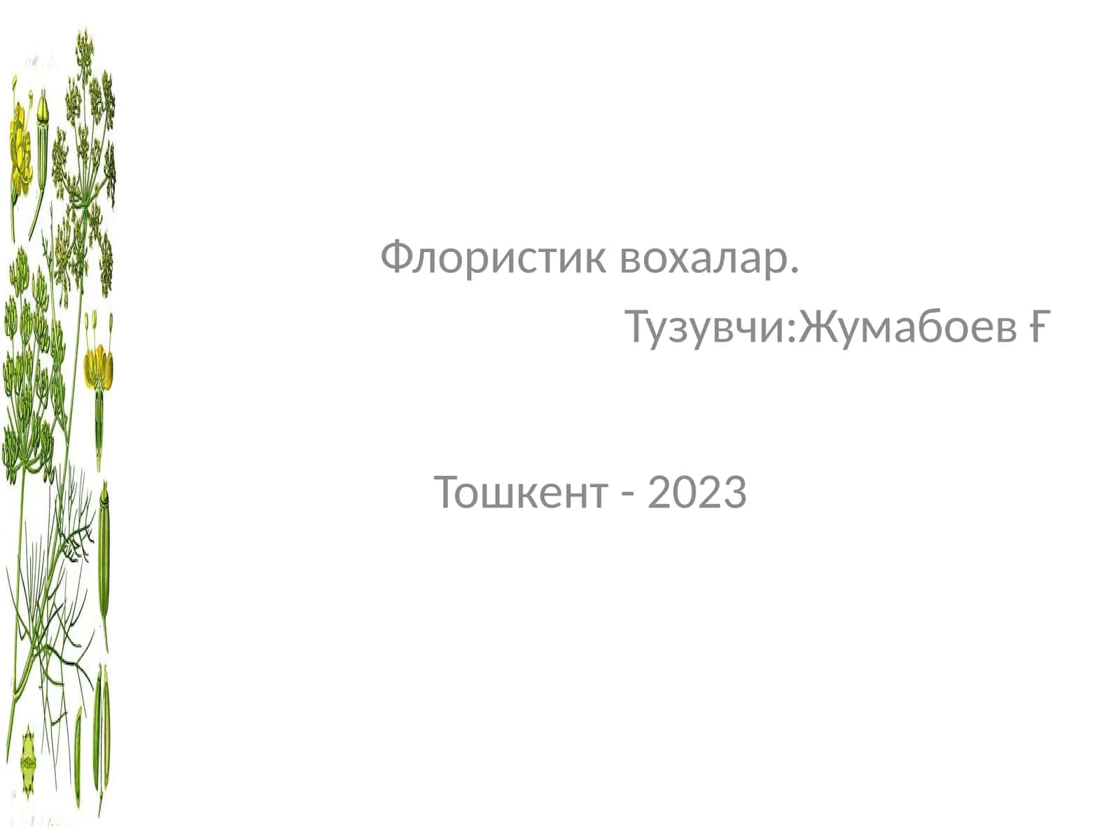 Флористик вохалар 1