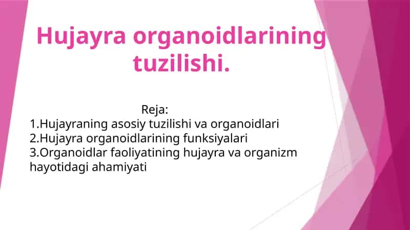 Hujayra Organoidlarining Tuzilishi 1