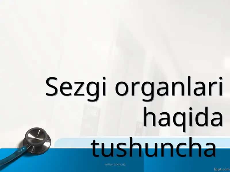 Sezgi organlari haqida tushuncha 1