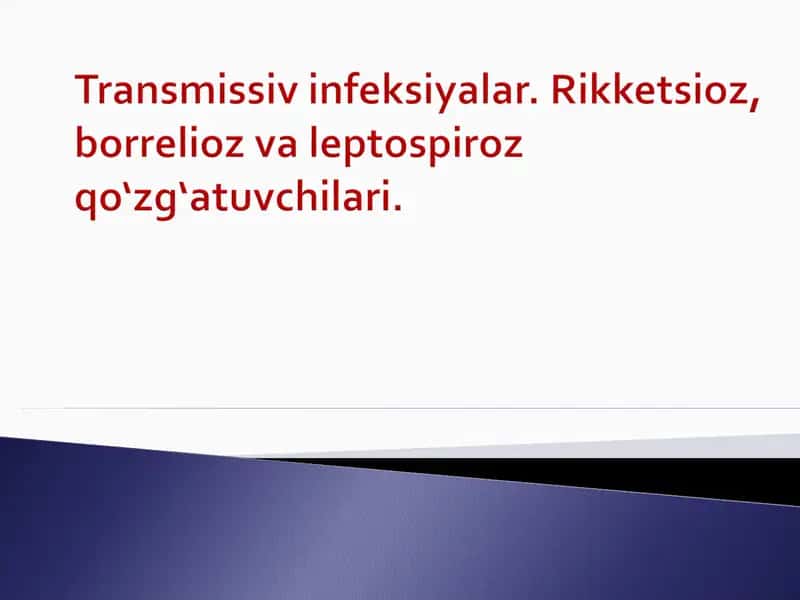 Rikketsiyalar 1