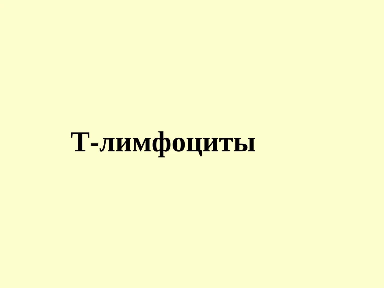 Т-лимфоциты 1