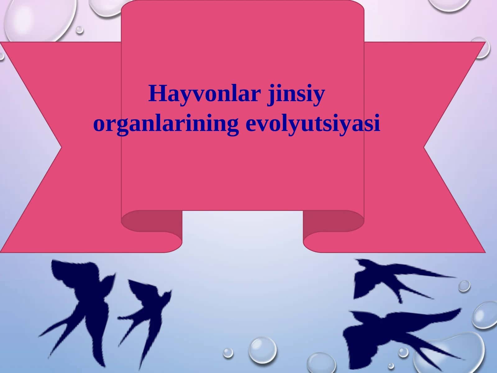 Hayvonlar jinsiy organlarining evolyutsiyasi 1