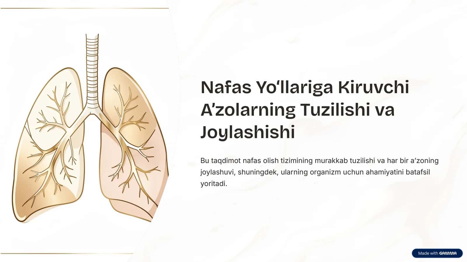 Nafas Yo‘llariga Kiruvchi A’zolarning Tuzilishi va Joylashishi 1