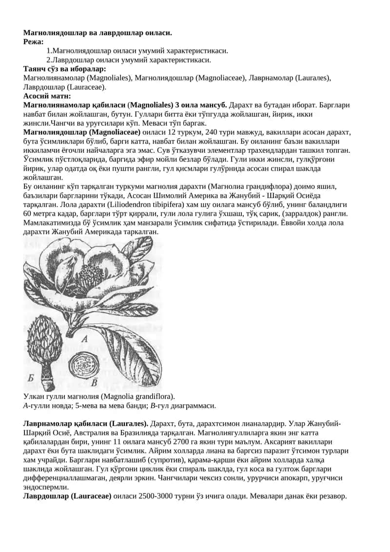 Магнолиядошлар ва лаврдошлар оиласи 1