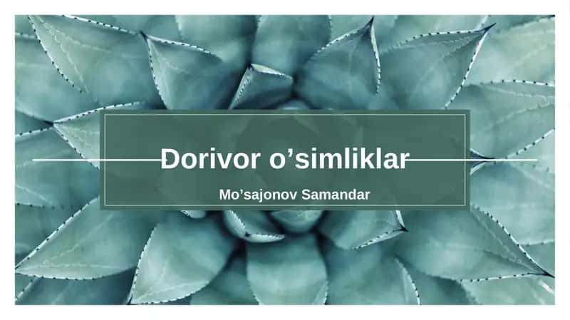 Dorivor oʼsimliklar 1