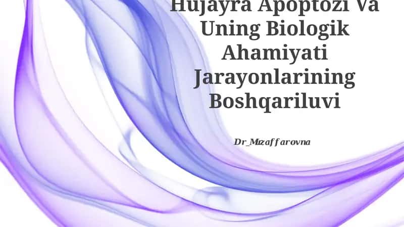 Hujayra Apoptozi Va Uning Biologik Ahamiyati Jarayonlarining Boshqariluvi 1