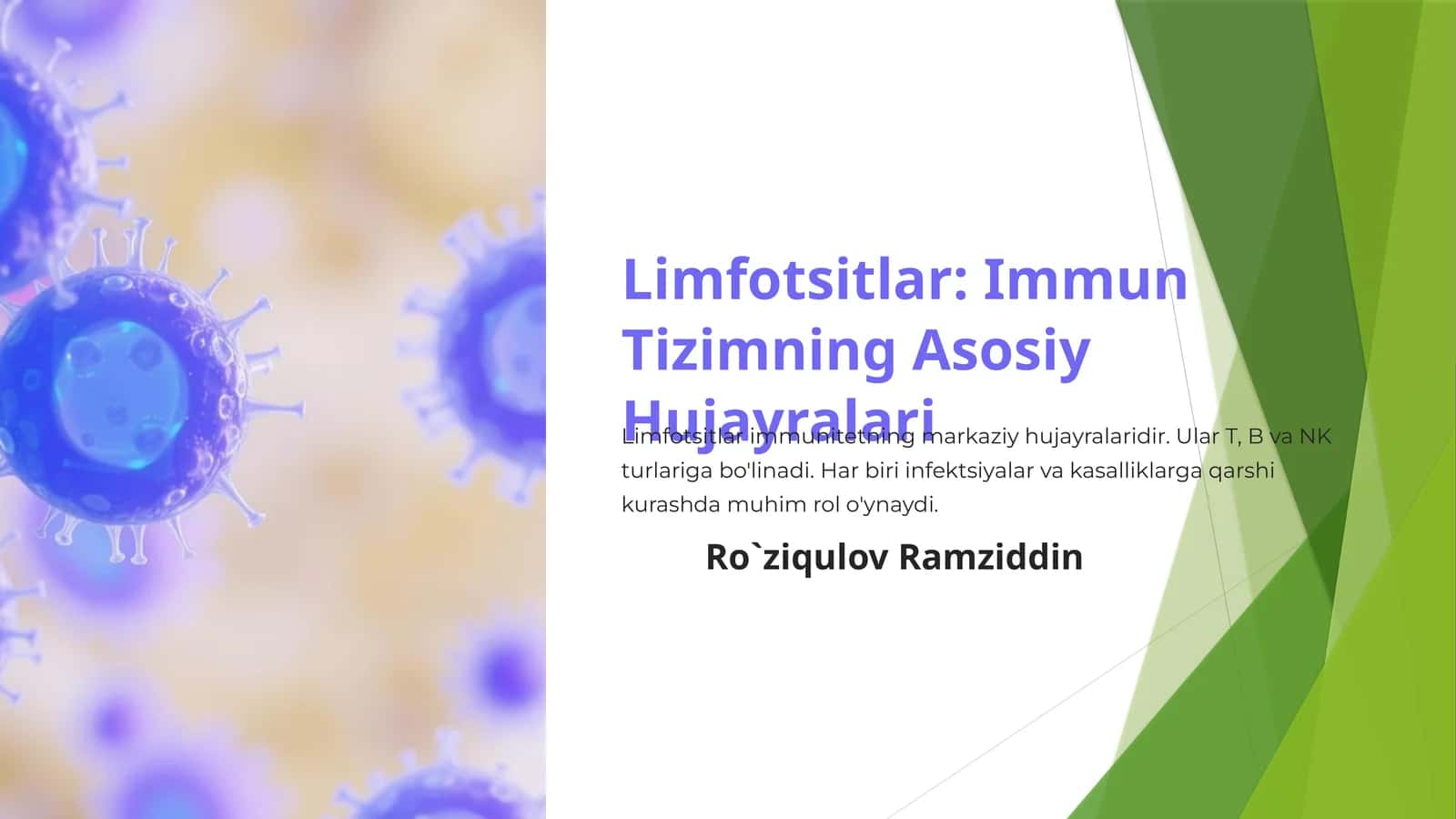 Limfotsitlar: Immun Tizimning Asosiy Hujayralari 1