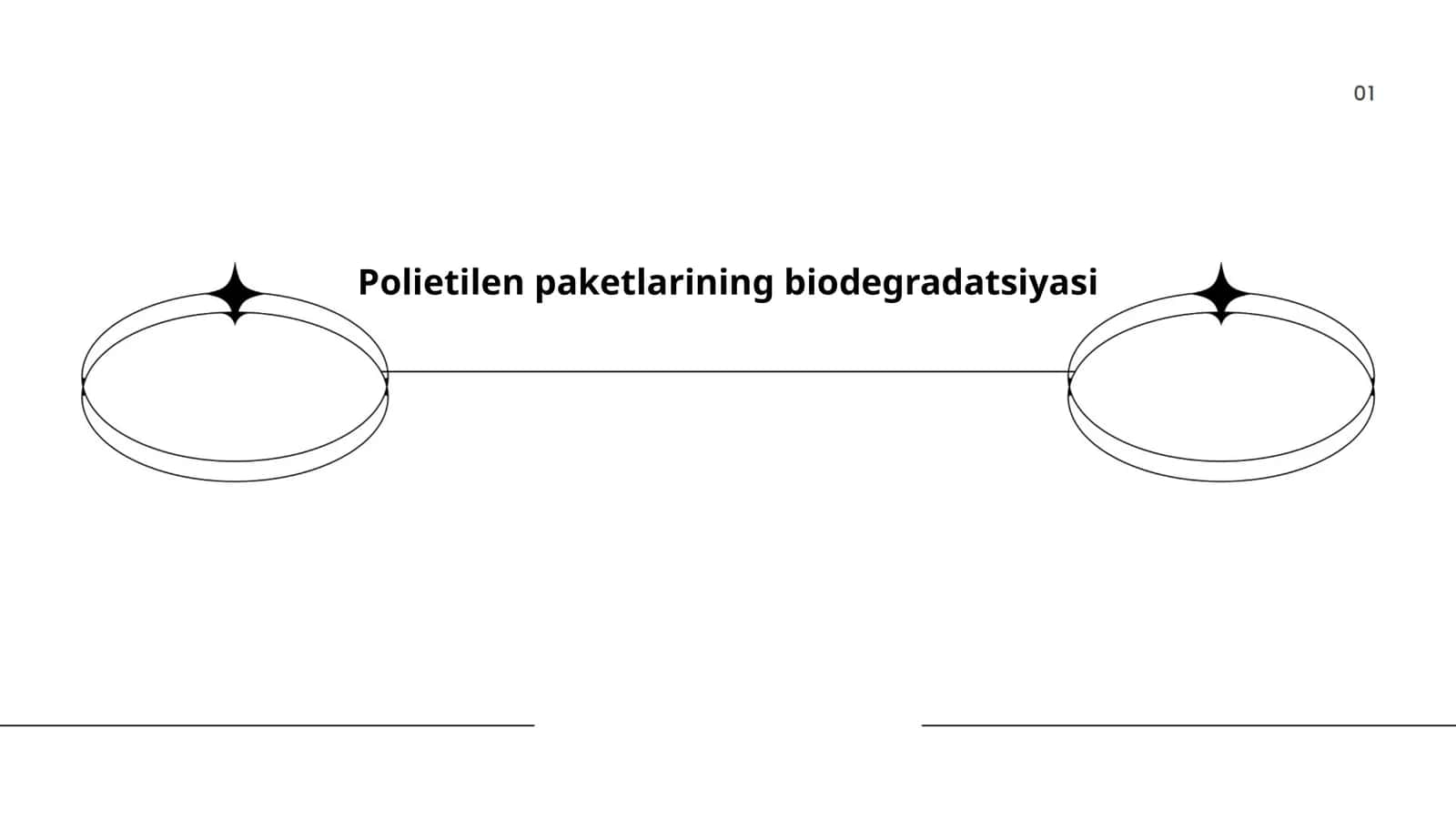 Polietilen paketlarining biodegradatsiyasi 1